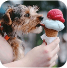 icecream